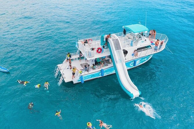 Oahu Dolphin and Snorkel Tour with Waikiki Pickup & Lunch - Key things that make this tour worth a look