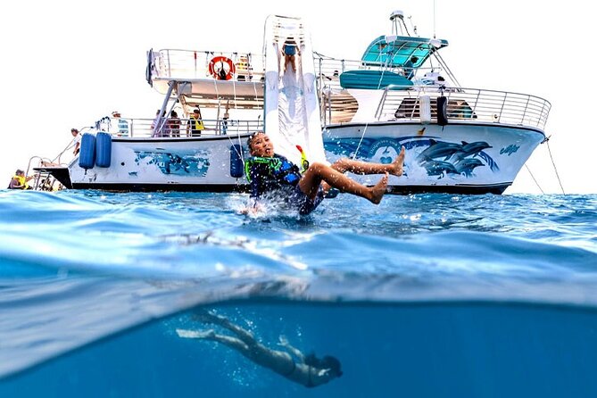 Oahu Dolphin and Snorkel Tour with Waikiki Pickup & Lunch - Waikiki pickup and the drive to Waiʻanae Small Boat Harbor