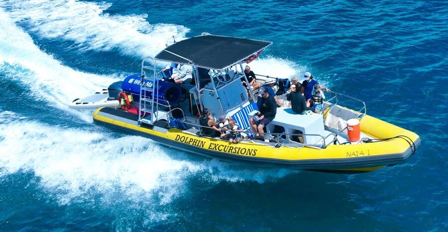 Oahu: Dolphin Swim and Turtle Snorkel Excursion in Waianae - Getting There: Waikiki or Ko Olina Pickup Without Chaos