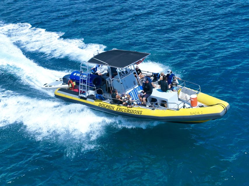 Oahu: Dolphin Swim and Turtle Snorkel Excursion in Waianae - Swimming With Dolphins vs. Watching Them: Know the Difference