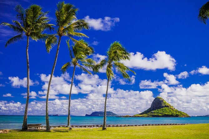 Oahu Grand Circle Island and Haleiwa Tour: 9-Hr Deluxe Experience - Halona Blowhole and Nu’uanu Pali, the power stops