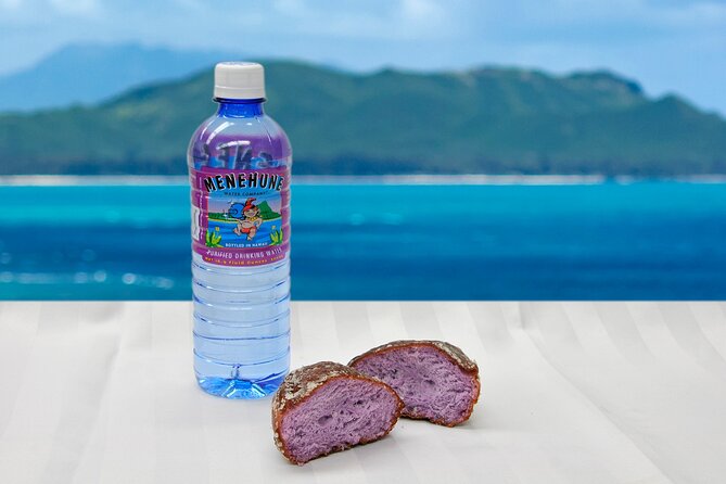 Oahu Grand Circle Island and Haleiwa Tour: 9-Hr Deluxe Experience - Hanauma Bay marine life, with a built-in day-of-week reality check