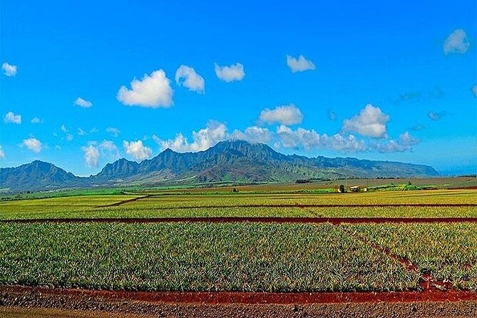 Oahu Grand Circle Island Experience from Waikiki - Shark’s Cove Snorkeling Option and the Marine Life Zone