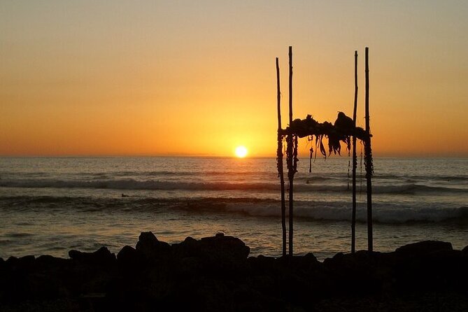 Oahu Grand Circle Island Experience from Waikiki - The Big Picture: A 10 to 11 Hour Circle of Oahu