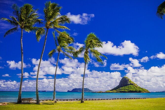 Oahu: Grand Tour Around Island 16 Locations plus Snorkeling - Farms and coffee: pineapple time and where the roasting happens
