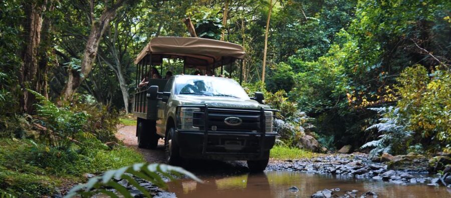 Oahu: Kualoa Open Air Jungle Expedition Tour - Hakipuu rainforest trails and stream beds, what you’ll notice