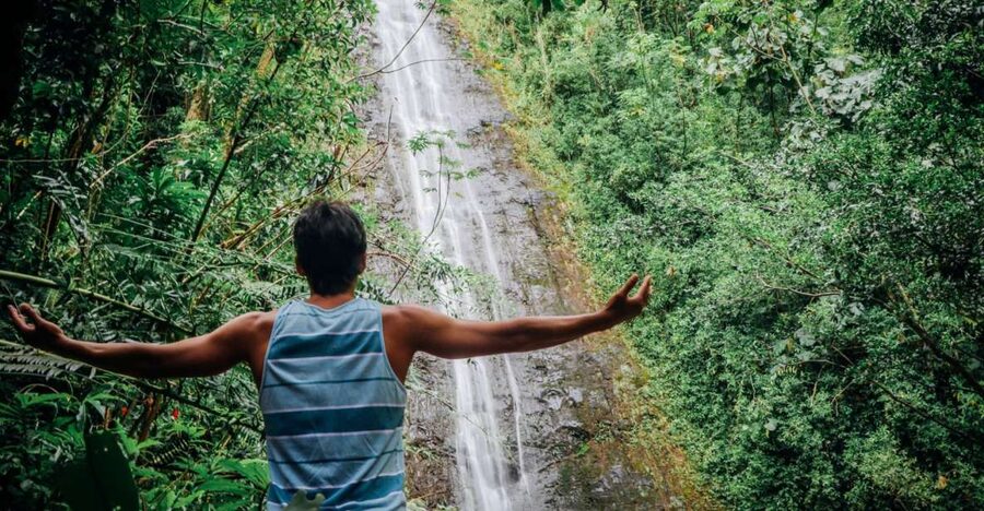 Oahu: Manoa Falls Waterfall Hike with Lunch and Transfers - Key Points You’ll Feel on Day One