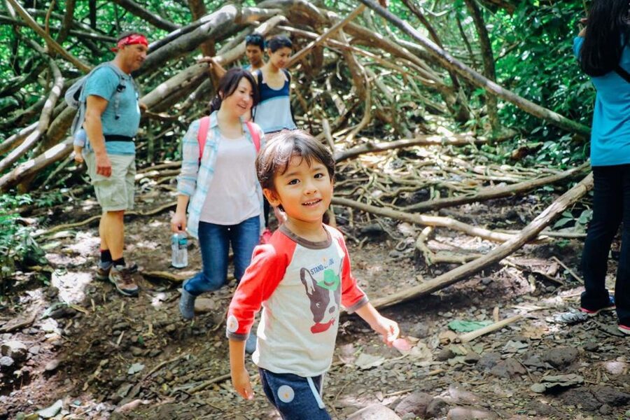 Oahu: Manoa Falls Waterfall Hike with Lunch and Transfers - Who This Tour Suits Best, and Who Should Skip It