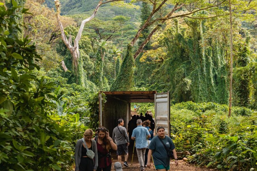 Oahu: Manoa Falls Waterfall Hike with Lunch and Transfers - Why Manoa Falls Feels Like More Than a Waterfall Stop