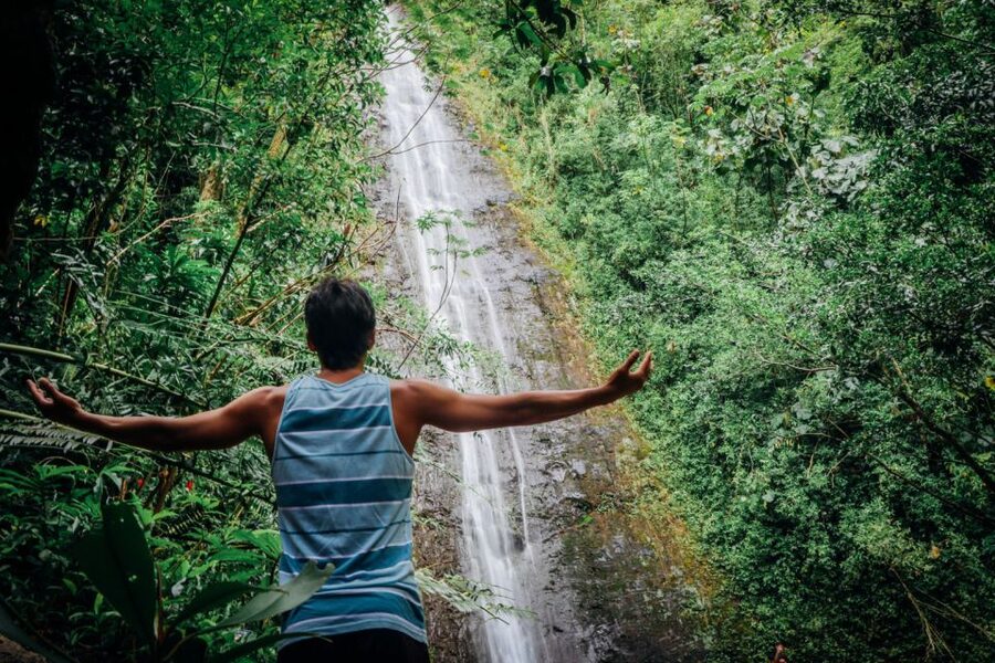 Oahu: Manoa Falls Waterfall Hike with Lunch and Transfers - Lunch at Tantalus Lookout: Diamond Head Views After the Mud