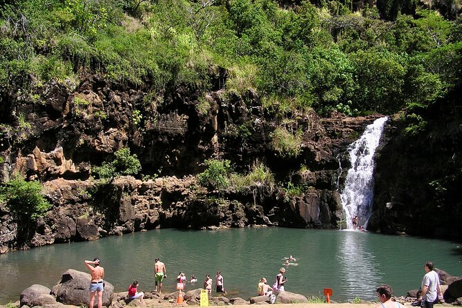 Oahu North Shore Experience: Activities, Waterfall & Free Time - Waimea Bay and North Shore options: picking your first 2 hours