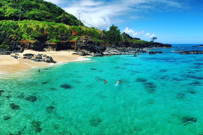 Oahu North Shore Experience: Activities, Waterfall & Free Time - Shark’s Cove snorkeling: the water time you plan around