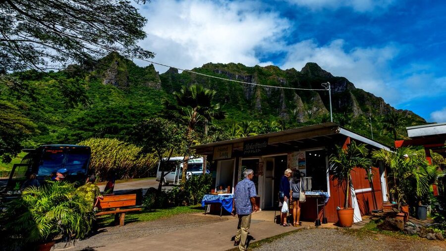 Oahu: Oahu Ultimate Grand Circle Island Tour - Waimānalo shopping and the scenic East Side roads