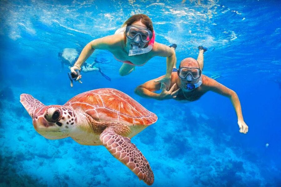 Oahu: Oahu Ultimate Grand Circle Island Tour - Lunch at Tanaka Kahuku Shrimp: plan for your own meal time