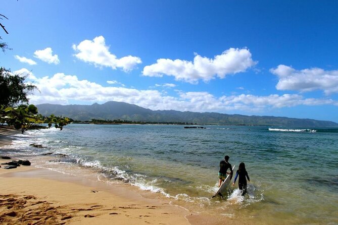 Oahu: Roundtrip Shuttle From Waikiki to Dole Plantation & Haleiwa - Waikiki pickup timing, and how to avoid the classic bus-missed feeling