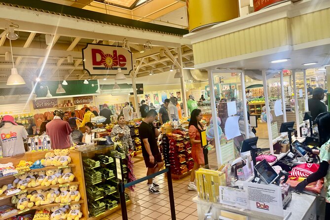 Oahu: Roundtrip Shuttle From Waikiki to Dole Plantation & Haleiwa - Stop 2: Dole Plantation at opening (9:30 AM arrival, 2 hours on-site)