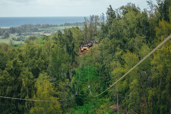 Oahu's North Shore: 8-Line Zipline Adventure - Practical Tips That Make the Day Smoother