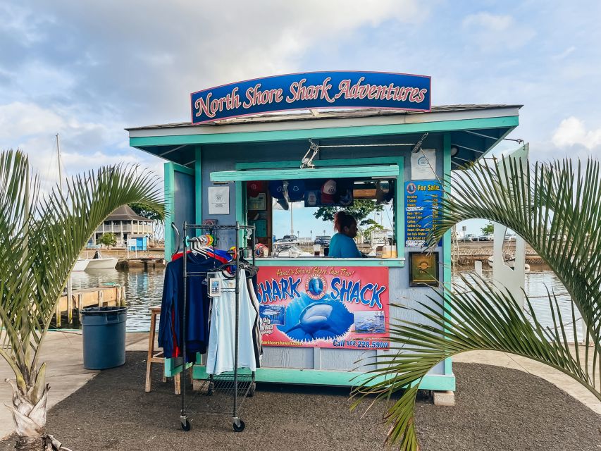 Oahu: Shark Cage Dive on the North Shore - North Shore Shark Adventures and what the 90 minutes really feels like