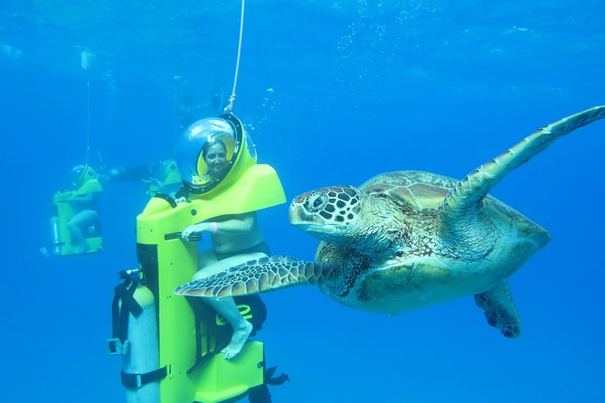Oahu: Submarine Scooter Adventure - Where you meet and what check-in feels like