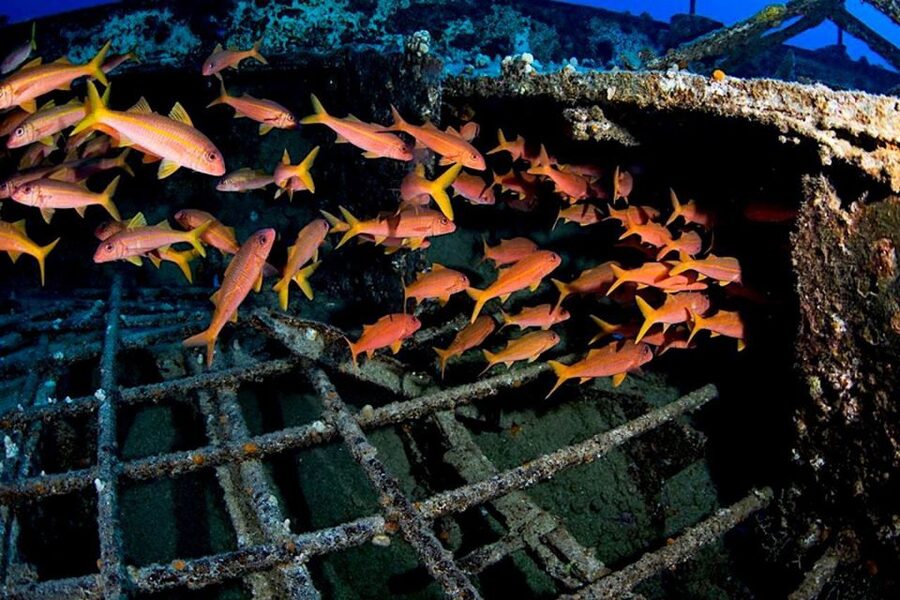 Oahu: Waikiki Submarine Tour - FAQ