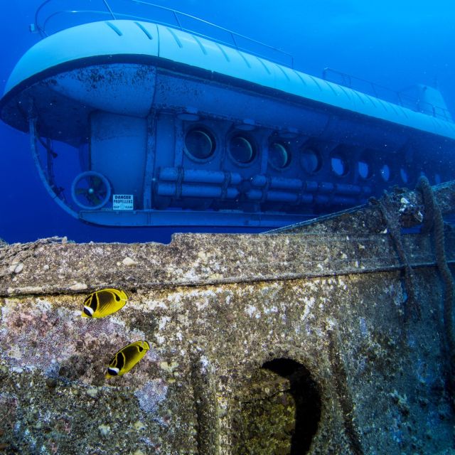 Oahu: Waikiki Submarine Tour - How much it costs, and whether it feels worth it