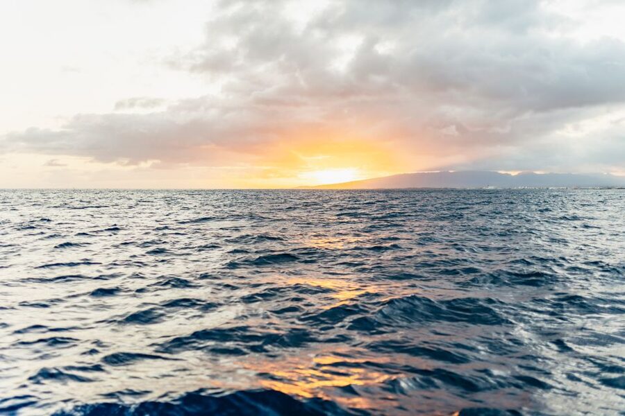 Oahu: Waikiki Sunset Catamaran Cocktail Cruise - Key things I’d circle before you book