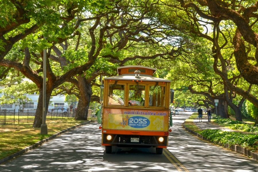Oahu: Waikiki Trolley Hop-on Hop-off All-Line Pass - Should You Book the Waikiki Trolley Hop-On Hop-Off All-Line Pass?