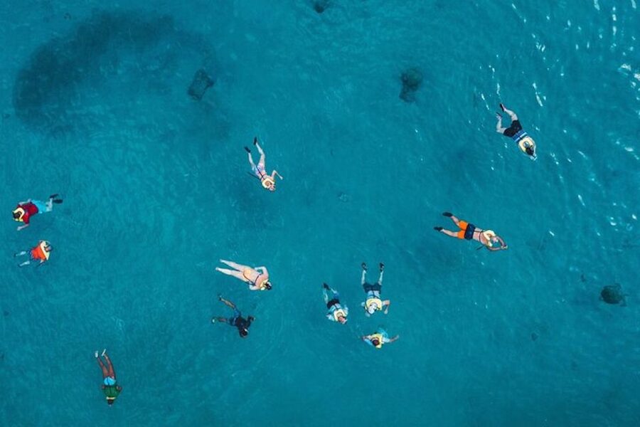 Oahu: Waikiki Turtle Snorkeling Adventure Cruise - Key Highlights Worth Marking on Your Map
