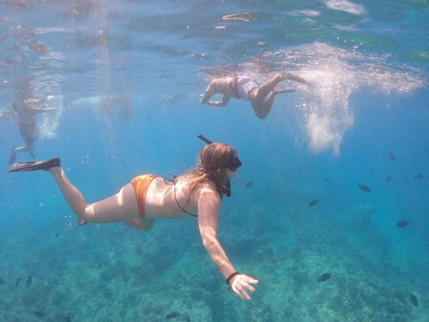 Oahu: Waikiki Turtle Snorkeling Adventure Cruise - Instructor-Led Snorkeling: What Makes This Feel Safe and Easy