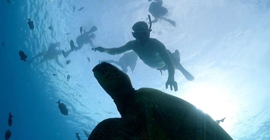 Oahu: Waikiki Turtle Snorkeling Adventure Cruise - Waikiki Shoreline Sailing: Your Pre-Snorkel Warm-Up