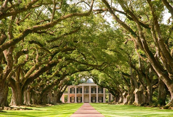 Oak Alley Plantation Tour with Transportation from New Orleans - Key Things That Make This Oak Alley Tour Worth Your Time