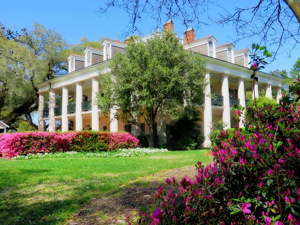 Oak Alley Plantation Tour with Transportation from New Orleans - Optional Upgrade: Adding a 90-Minute Pontoon Swamp Tour