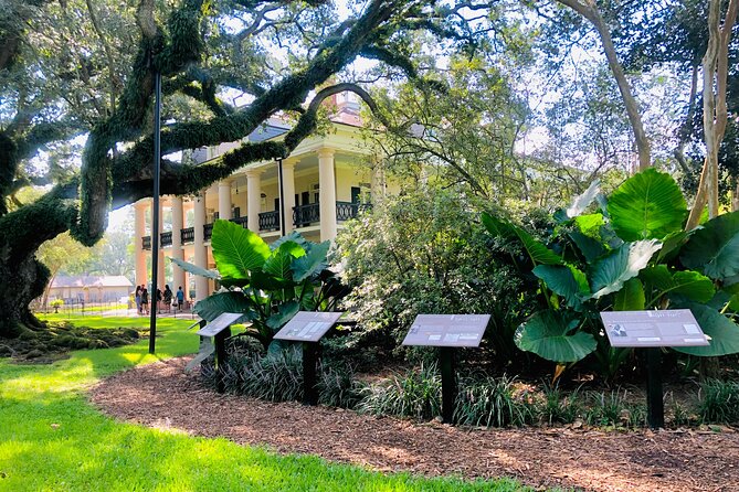 Oak Alley Plantation Tour with Transportation from New Orleans - Price and Value: What $89 Includes, and How to Make It Feel Worth It