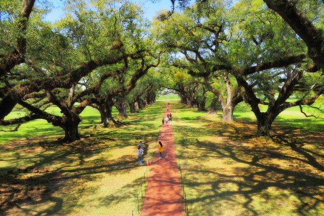 Oak Alley Plantation Tour with Transportation from New Orleans - Who Should Book This Oak Alley Tour (and Who Should Plan Differently)