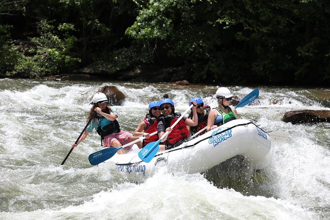 Ocoee River Middle Whitewater Rafting Trip (Most Popular Tour) - What The Scenic Cherokee National Forest Adds To The Ride