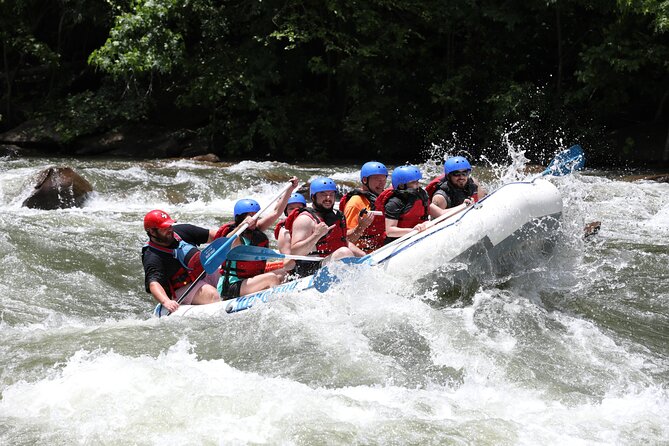 Ocoee River Middle Whitewater Rafting Trip (Most Popular Tour) - Who This 3-Hour Trip Fits Best (And Who Should Rethink It)