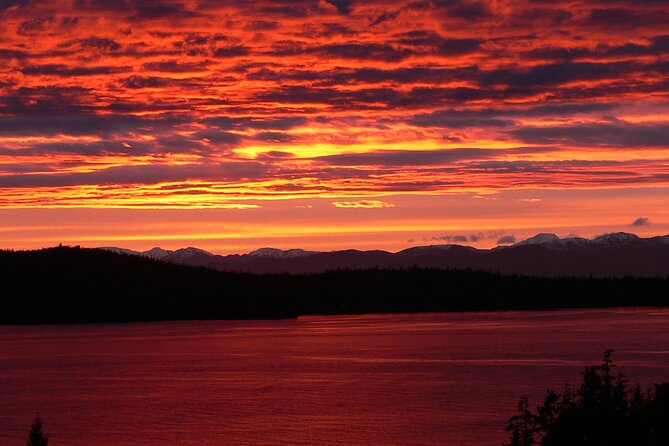 Off the Beaten Path Ketchikan Photo Safari - 3 hr. - Potlatch Totem Park: a long enough stop for coffee, carving, and variety