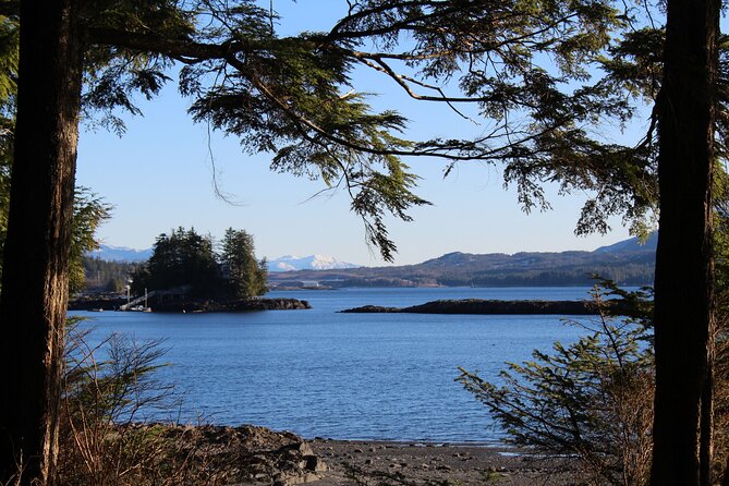 Off the Beaten Path Ketchikan Photo Safari - 3 hr. - Small-group photo help that actually reaches you