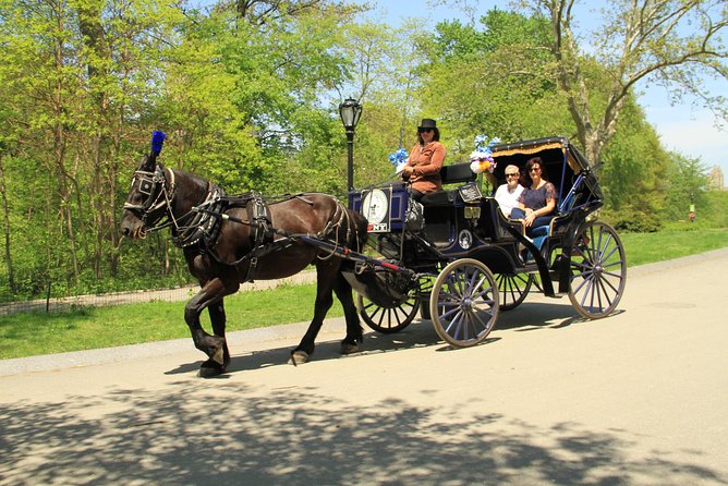 Official NYC Horse Carriage Rides in Central Park since 1979 ™ - Key points before you book