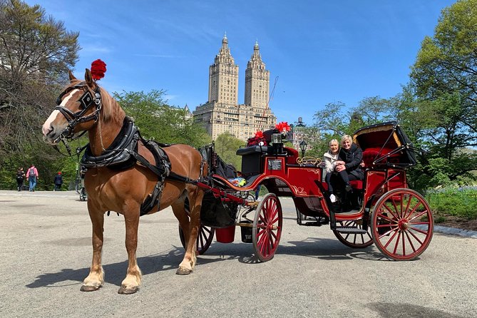 Official NYC Horse Carriage Rides in Central Park since 1979 ™ - Where you meet in Central Park: 7th Ave and West 59th
