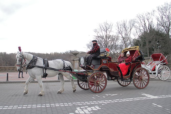 Official NYC Horse Carriage Rides in Central Park since 1979 ™ - Photo stops and feeding the horse: how to make it worth the money