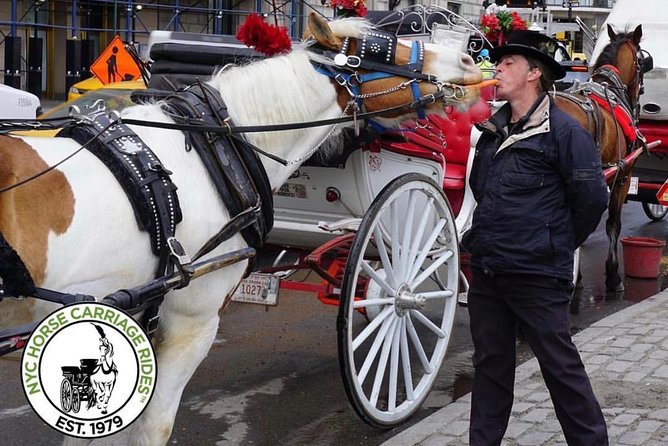Official NYC Horse Carriage Rides in Central Park since 1979 ™ - Timing, weather, and when to book for the least stress