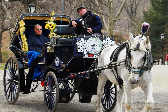 Official NYC Horse Carriage Rides in Central Park since 1979 ™ - Who should book this Central Park carriage ride?