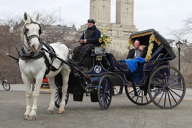 Official NYC Horse Carriage Rides in Central Park since 1979 ™ - Price and value: $99 per group for about 55 minutes
