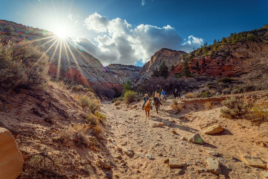Orderville: East Zion Park White Mountain Horseback Tour - Key Highlights Worth Planning For