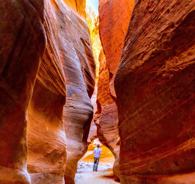 Orderville: East Zion Park White Mountain Horseback Tour - The Ride Up to the Slot Canyon: Training Wheels on a Cowboy Trail