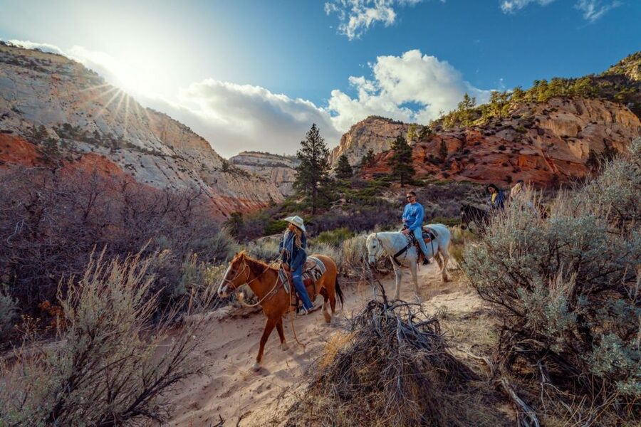 Orderville: East Zion Park White Mountain Horseback Tour - On the Saddle Again: Returning Through East Zion Country