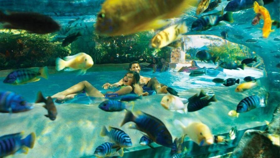 Orlando: Aquatica Water Park Admission Ticket - Thrill Meets Splash: Ihu’s Breakaway Falls® and Tassie’s Underwater Twist®