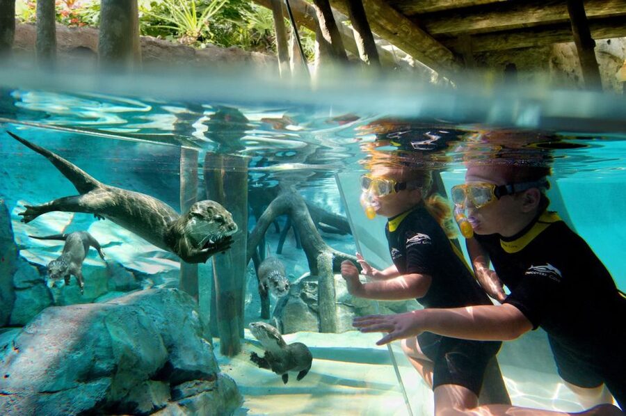 Orlando: Discovery Cove Admission Ticket & Additional Parks - Entering The Discovery Cove Day Resort