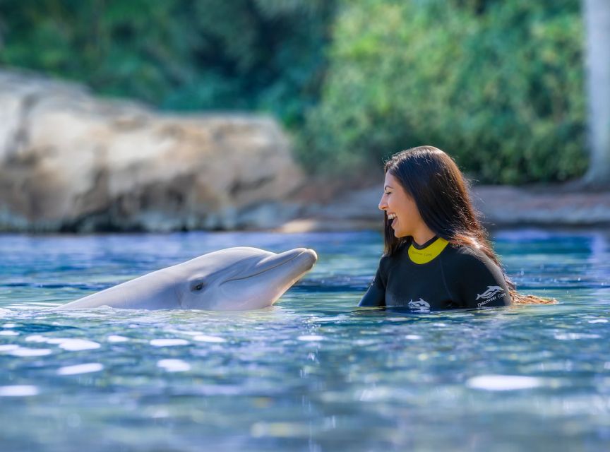 Orlando: Discovery Cove Admission Ticket & Additional Parks - Finding Your Water Rhythm: Grand Reef and the Snorkel Time That Matters